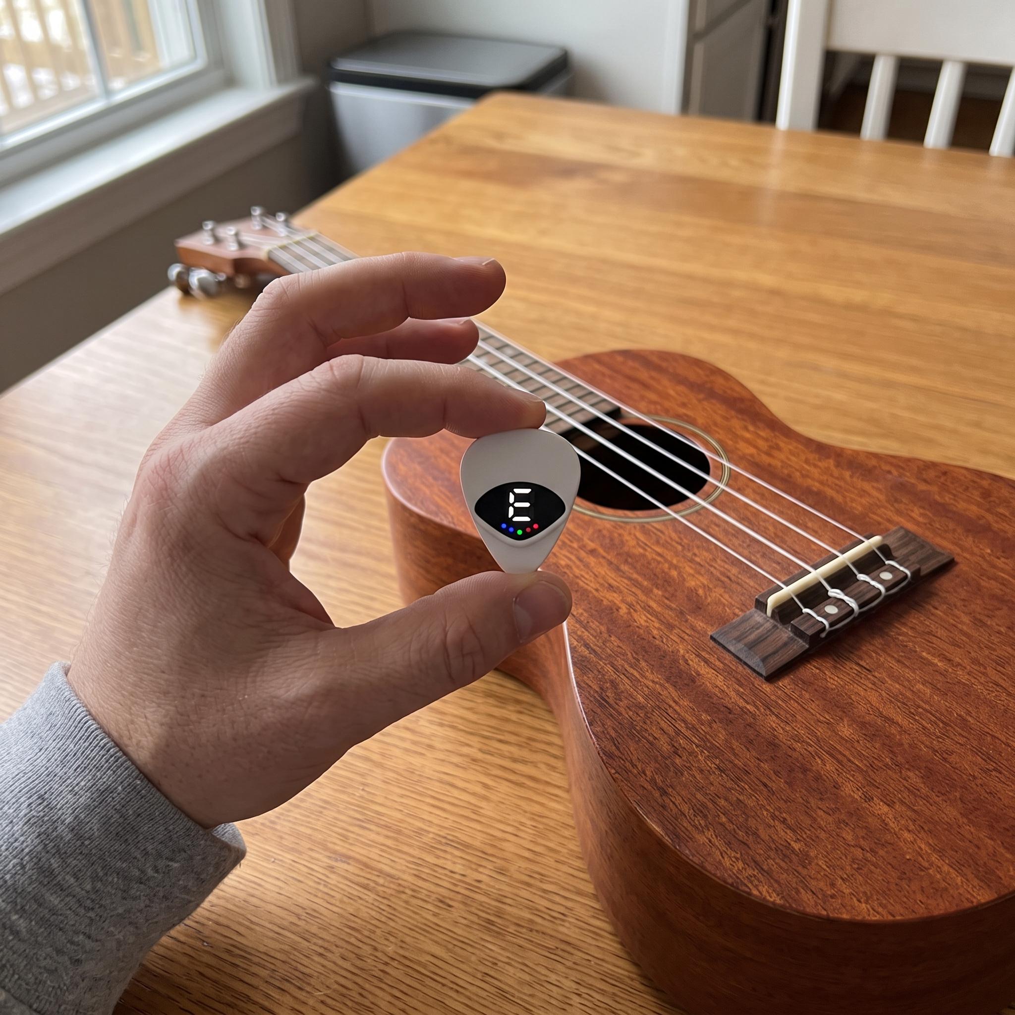 Chordwell ready for a guitar lesson